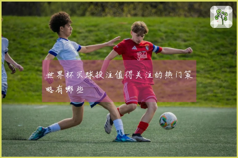 世界杯买球投注值得关注的热门策略有哪些