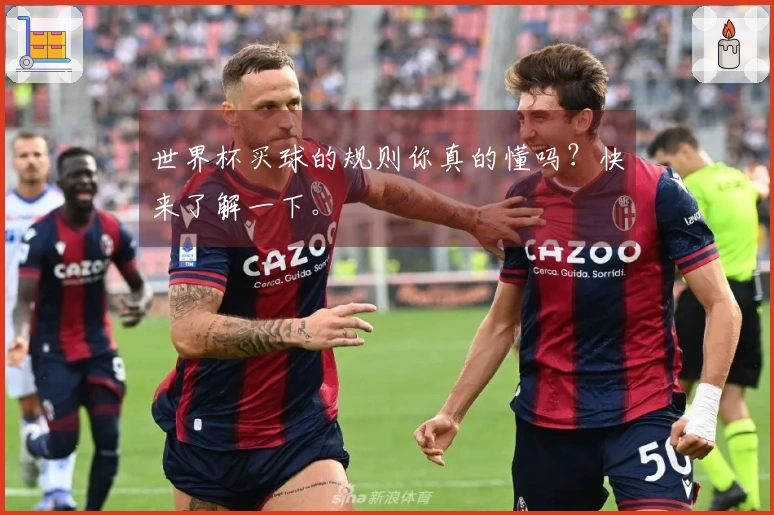 世界杯买球的规则你真的懂吗?快来了解一下。