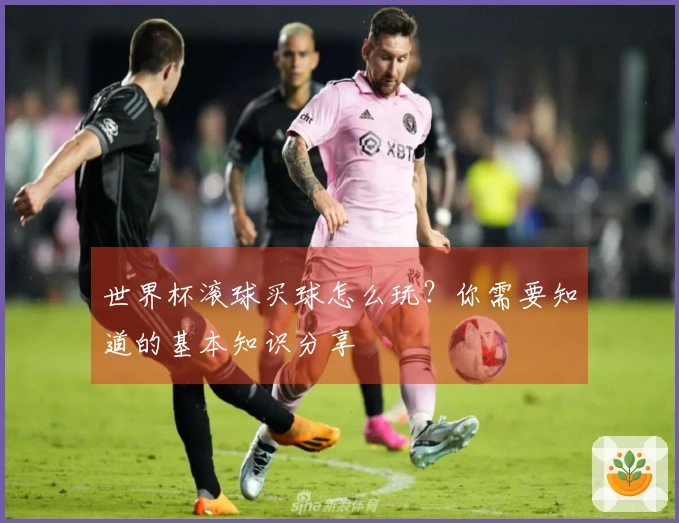 世界杯滚球买球怎么玩？你需要知道的基本知识分享
