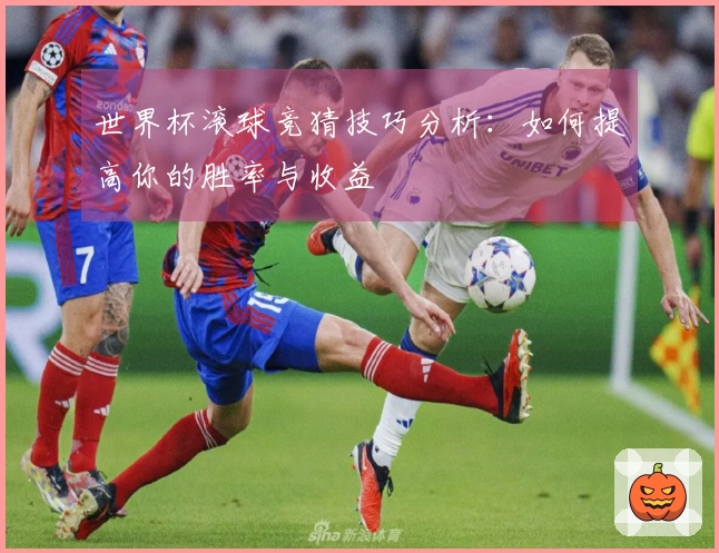 世界杯滚球竞猜技巧分析：如何提高你的胜率与收益