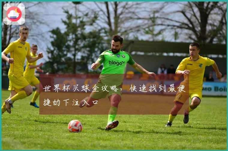 世界杯买球全攻略,快速找到最便捷的下注入口