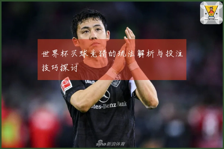 世界杯买球竞猜的玩法解析与投注技巧探讨
