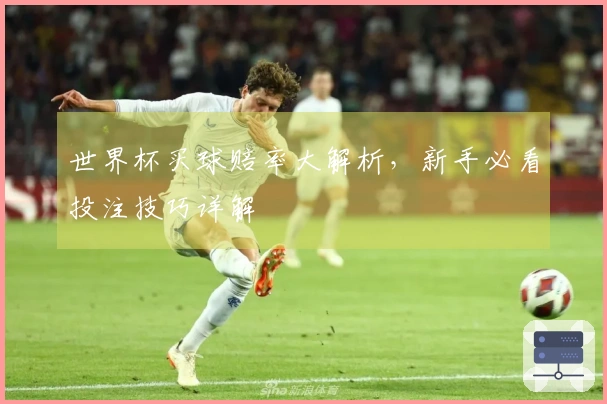 世界杯买球赔率大解析，新手必看投注技巧详解
