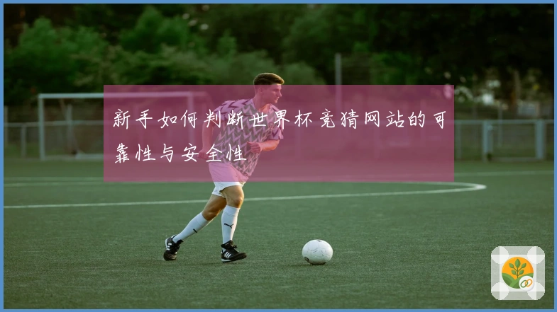 新手如何判断世界杯竞猜网站的可靠性与安全性