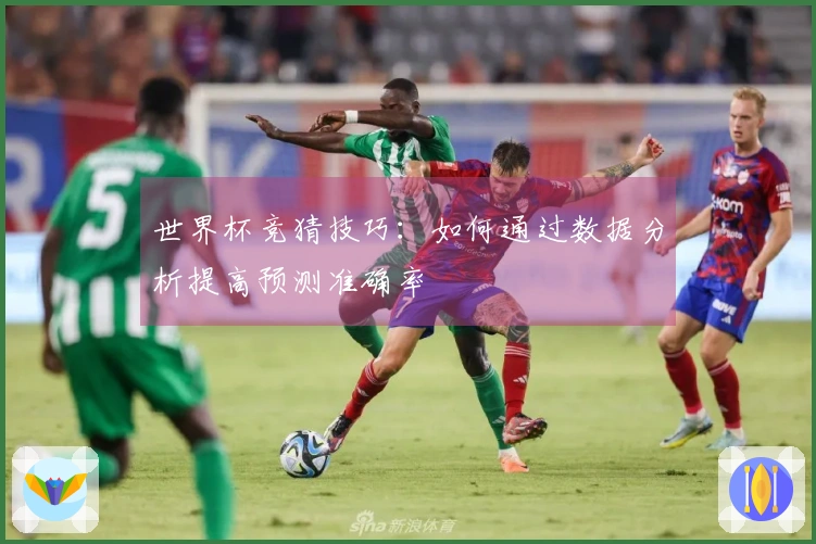 世界杯竞猜技巧：如何通过数据分析提高预测准确率