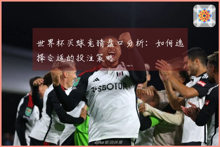 世界杯买球竞猜盘口分析：如何选择合适的投注策略