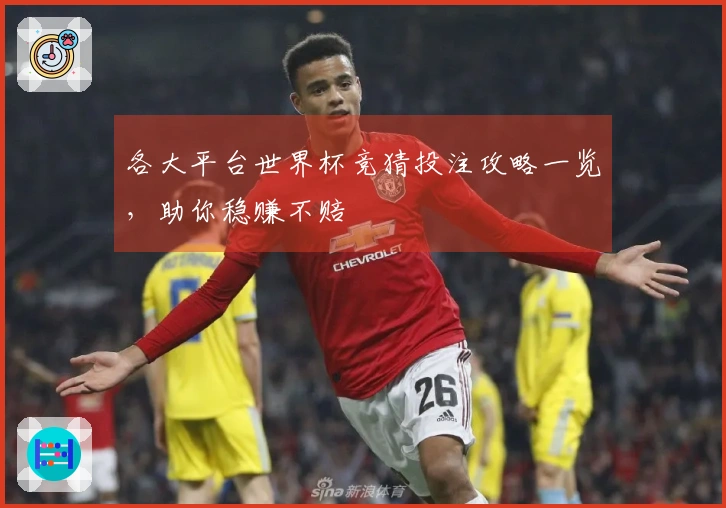 各大平台世界杯竞猜投注攻略一览，助你稳赚不赔