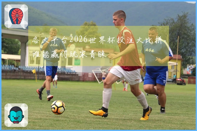 各大平台2026世界杯投注大比拼，谁能赢得玩家青睐