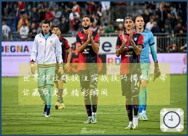 世界杯让球投注实战技巧揭秘，带你赢取更多精彩瞬间