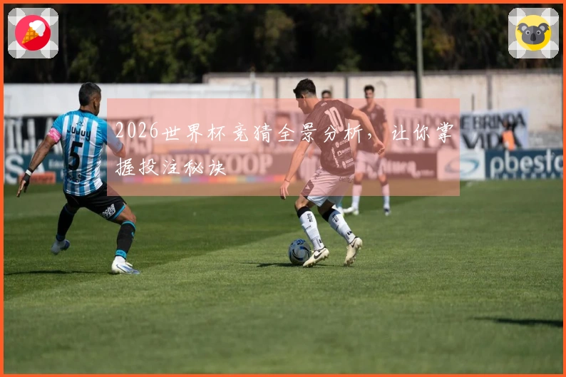 2026世界杯竞猜全景分析，让你掌握投注秘诀