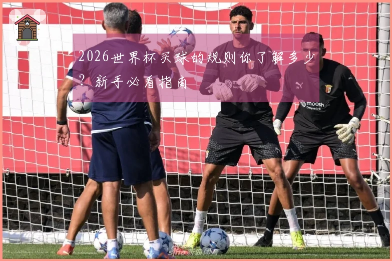 2026世界杯买球的规则你了解多少？新手必看指南