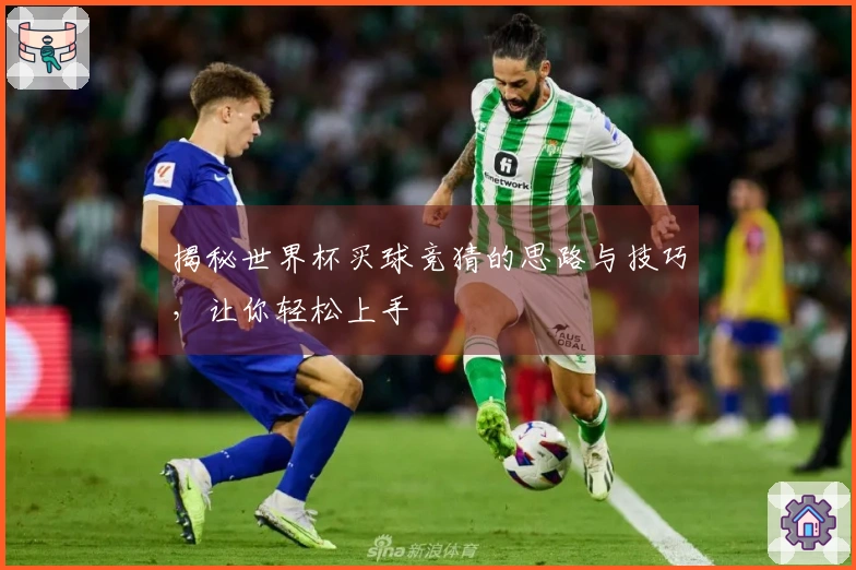 揭秘世界杯买球竞猜的思路与技巧，让你轻松上手