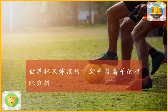 世界杯买球技巧：新手与高手的对比分析