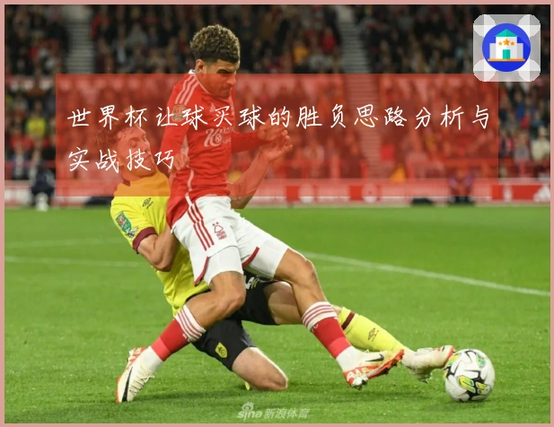 世界杯让球买球的胜负思路分析与实战技巧