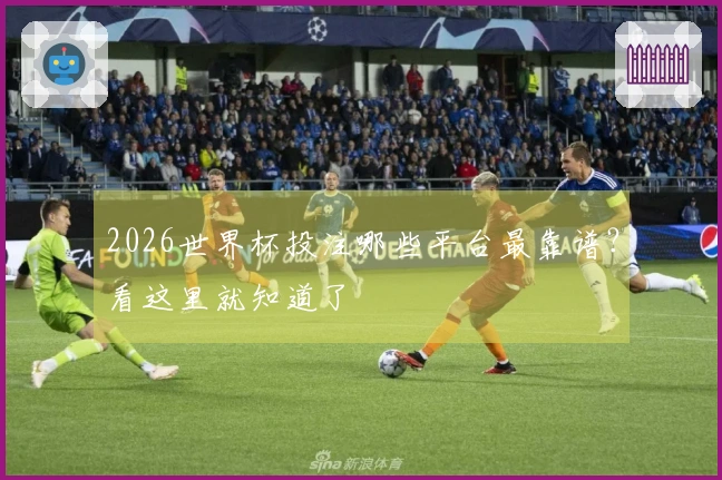 2026世界杯投注哪些平台最靠谱？看这里就知道了