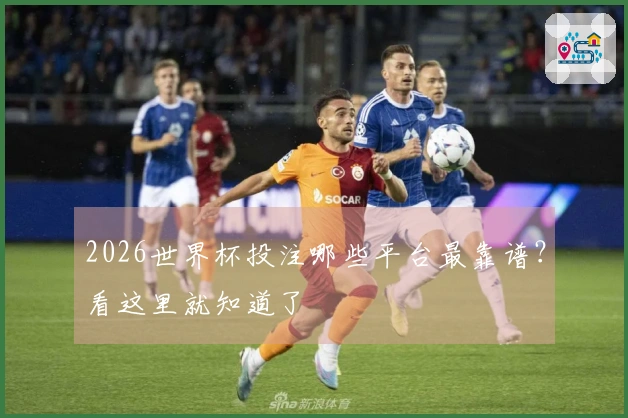 2026世界杯投注哪些平台最靠谱？看这里就知道了