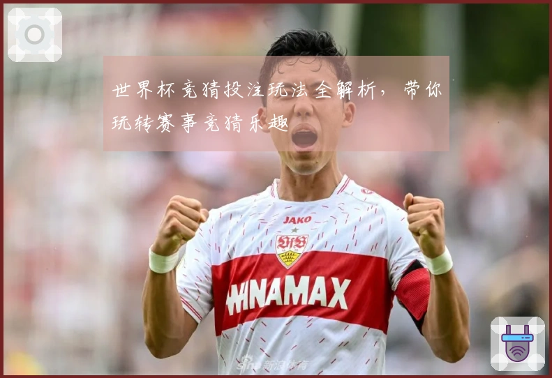 世界杯竞猜投注玩法全解析,带你玩转赛事竞猜乐趣
