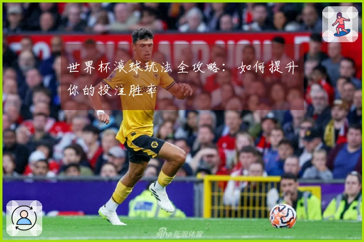 世界杯滚球玩法全攻略：如何提升你的投注胜率