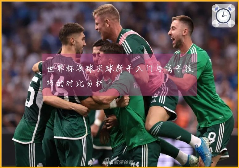世界杯滚球买球新手入门与高手技巧的对比分析