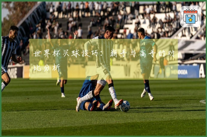 世界杯买球技巧：新手与高手的对比分析