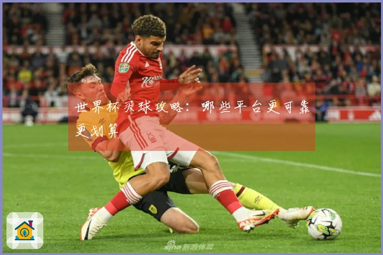 世界杯买球攻略：哪些平台更可靠更划算