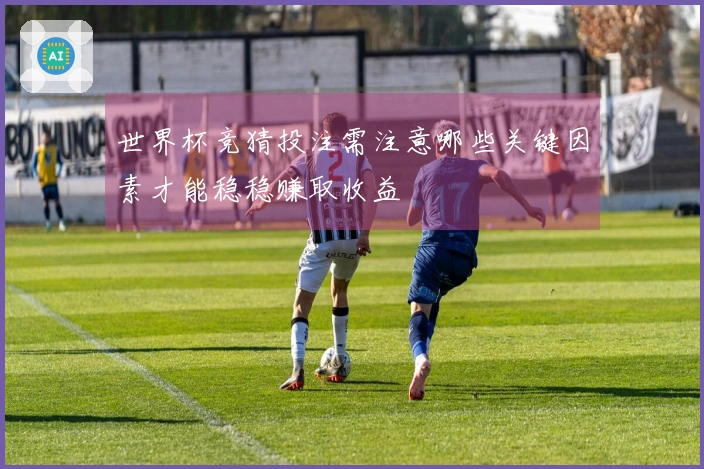 世界杯竞猜投注需注意哪些关键因素才能稳稳赚取收益