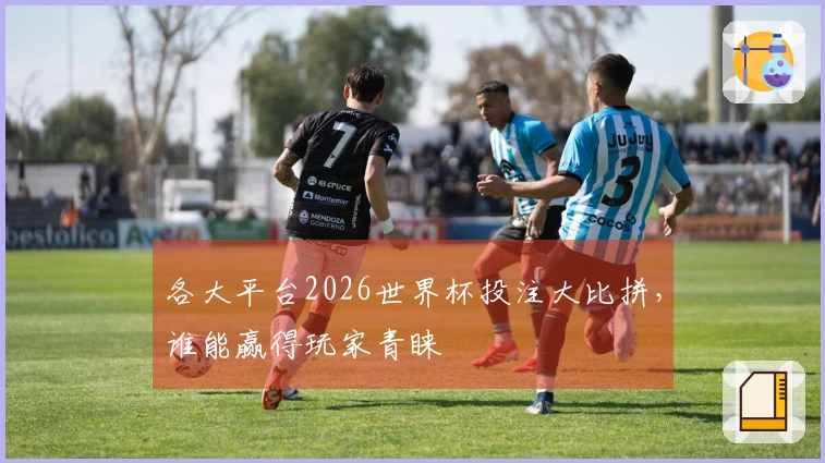 各大平台2026世界杯投注大比拼，谁能赢得玩家青睐
